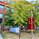 광운대학교주변-5 이미지