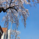 GS25종로누하점 이미지