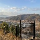 낭중애사과닭강정 이미지