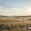 장암 송죽 억새길 이미지