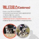 도그플러스 동물병원 이미지