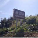 문호장 발자국 이미지