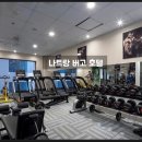 버고