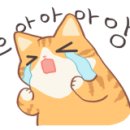 렉카마트 이미지