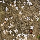 과역면사무소 이미지