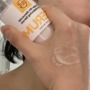 아미몽 이미지