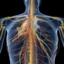 건강근력운동 이미지