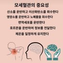 오리진뷰티온