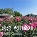 장미공원 주차장 입구 | 서울 산책 코스 중랑장미공원 서울장미축제 마지막날 방문 주차장 정보