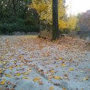 분진중학교 이미지