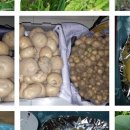 풍동농장 이미지