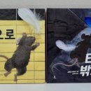 그림책씨앗교육연구소 이미지