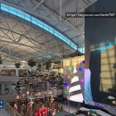 북해도 | 1월 삿포로 여행, 일본 북해도 날씨 후기