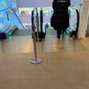 강동식당 | 강동 이케아 식당 이로식탁 후기-텐동, 마제도삭면 내돈내산후기