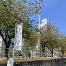 2954 | 부산 남구 대연동 브런치카페 듀스포레 솔직후기