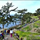 서귀포시 장애인복지관 이미지