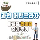 과천바른담한의원 네이버블로그