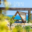 달토 이미지