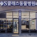 S클래스 동물병원 이미지