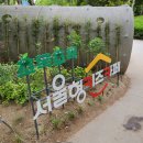 서울 가볼만한곳 서울숲 포켓몬 시크릿 포레스트 주차장 정보 후기