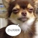 주간요가 이미지