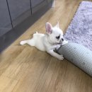 폴리파크 칠곡점 이미지