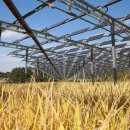 수산태양광발전소 이미지