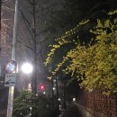 크로스핏 토르 이미지