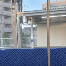 씨모아씨씨 | 일본 쇼핑리스트 하울 🇯🇵🛍️｜日本購入品ハウル