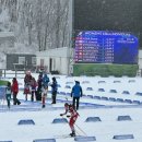 알펜시아 스포츠파크 크로스컨트리 경기장 이미지