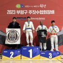 주짓수팜증포