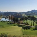 윤스골프 이미지