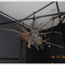 김홍도미술관 이미지