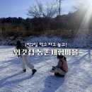 청운농촌체험마을 | 양평 외갓집체험마을, 농촌체험 촌캉스 대만족 후기