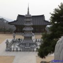 솔숲갈래길 이미지