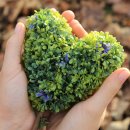 원진클린시스템 이미지