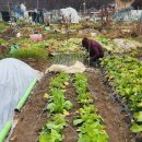 날씨누리 예보입니다 ❤️ 이미지