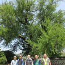 홍산 만덕교 이미지