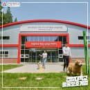 애완동물용품유통센터