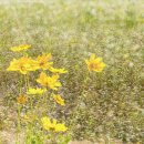 보리농장 이미지