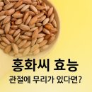 씨