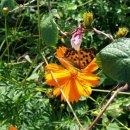 은혜행정사사무소 이미지