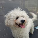 나무쉼터 동물병원 이미지