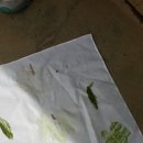 탄현초등학교 이미지