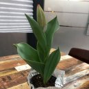 바디나믹 이미지