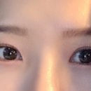 더쏭 이미지