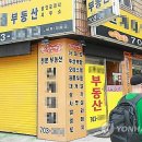 새로공인중개사사무소 이미지