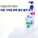 올리브영 헤드앤숄더 샴푸 후기 | 비듬 가려움 잡고 머릿결까지 좋았던 이유