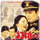 홍도야울지마라 이미지