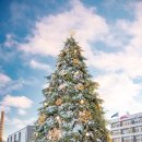 노엘(NOEL) 이미지